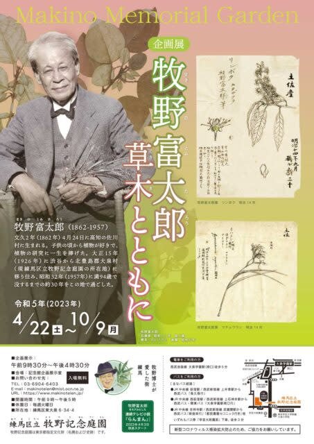 🌿 마키노 토미타로 기념관 본관(마키노 토미타로 키넨칸 혼칸) 이미지 3